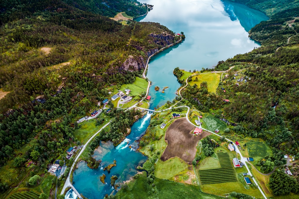 campo, alberi e case vicino allo specchio d'acqua