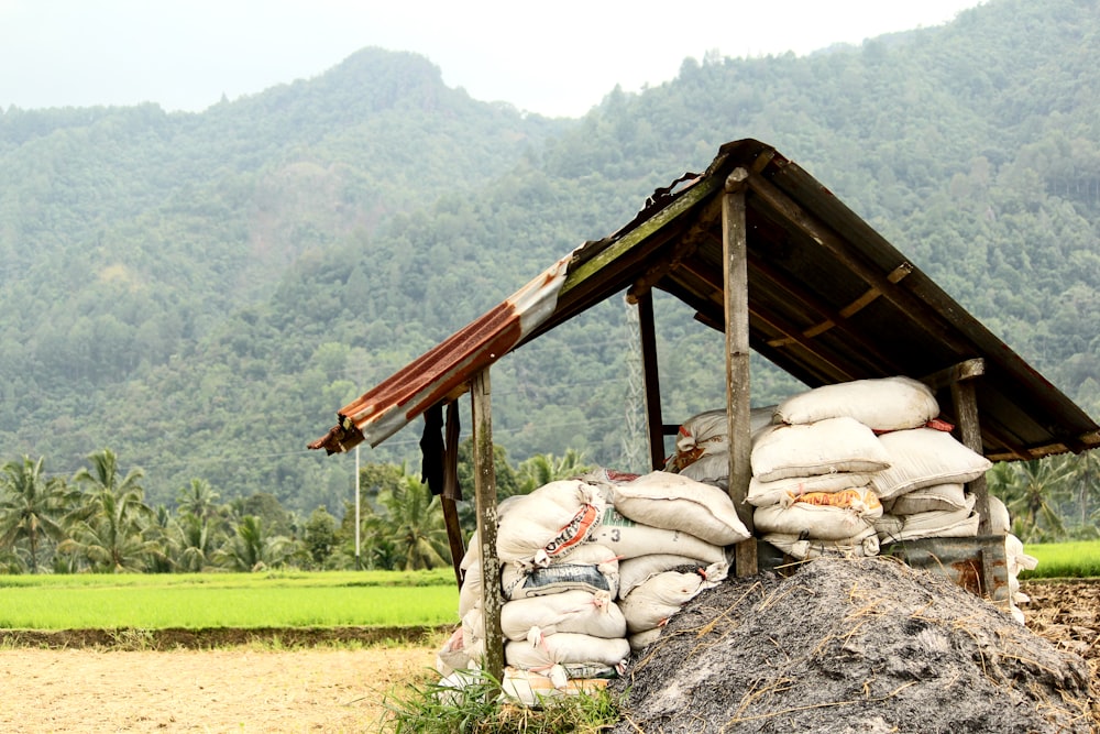 stack of white sacks near rice field