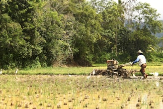 man at middle of field