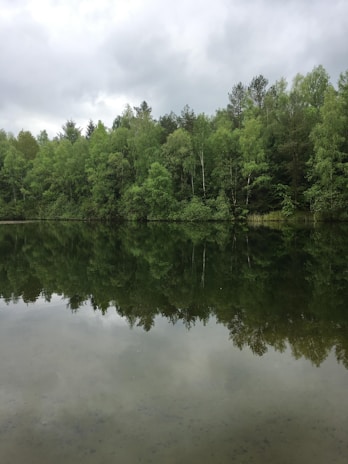 A serene lake reflecting the surrounding forest in the Nebrodi park.