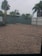 A view through a mesh screen showing a backyard scene with sparse vegetation. Several palm trees and bushes are visible beyond a brown ground surface. The image is framed by fencing in the background.