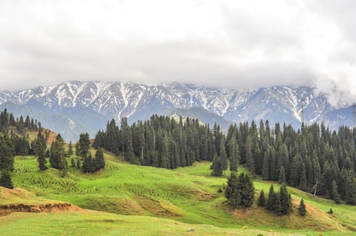 A scenic view of the Pasco region showcasing lush greenery and mountainous landscapes.