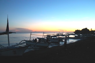 Traditional Basque fishermen boats lined up on the rocky coast at sunset.