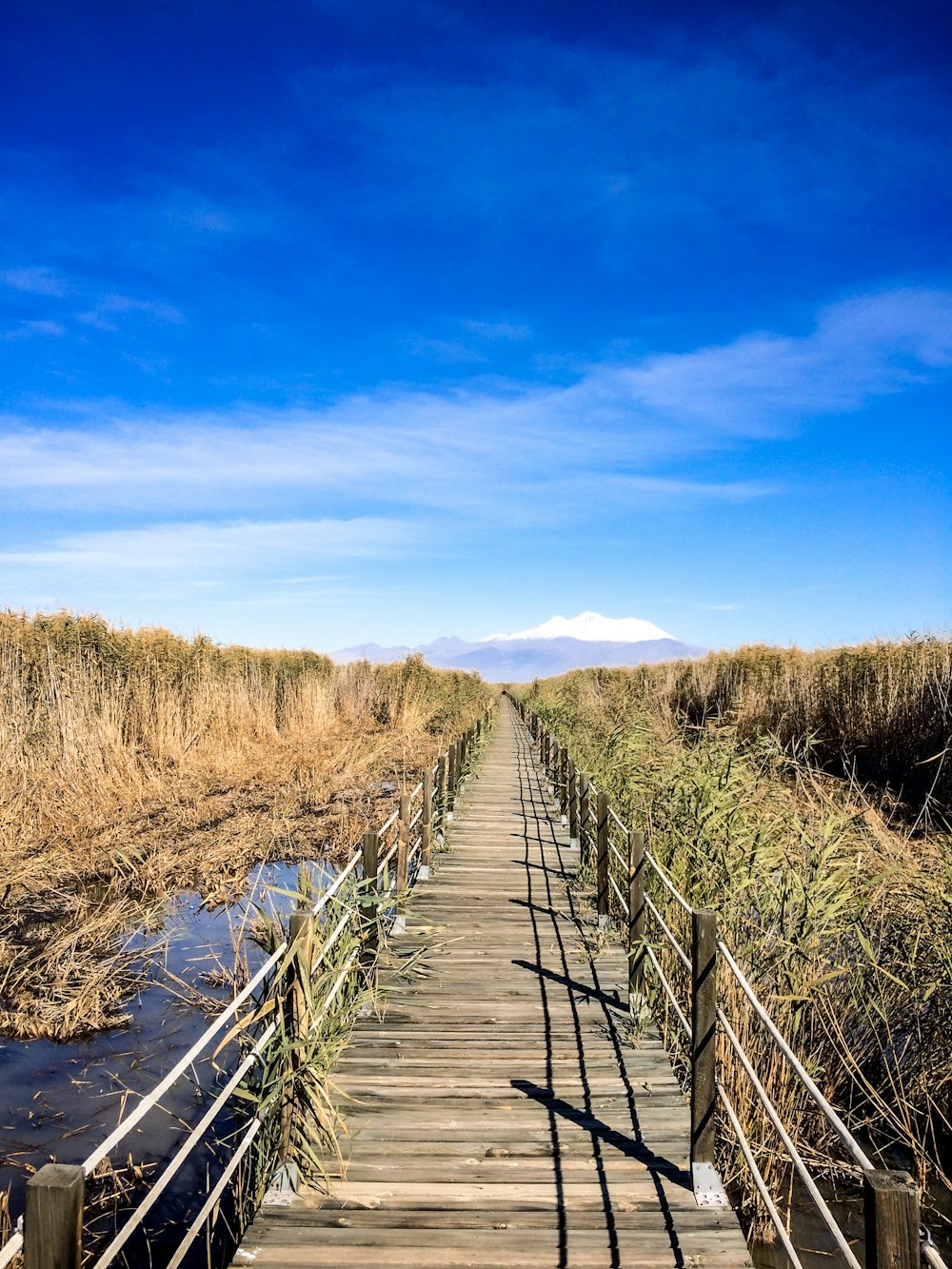 brown wooden bridge