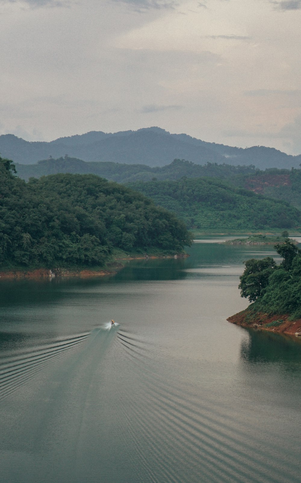 green trees and river