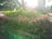 A garden bed filled with vibrant green and red foliage, bordered by a stone edge. Bright sunlight filters through, creating a soft lens flare and casting light over the plants. In the background, there are trees and a glimpse of buildings, suggesting an urban park setting.