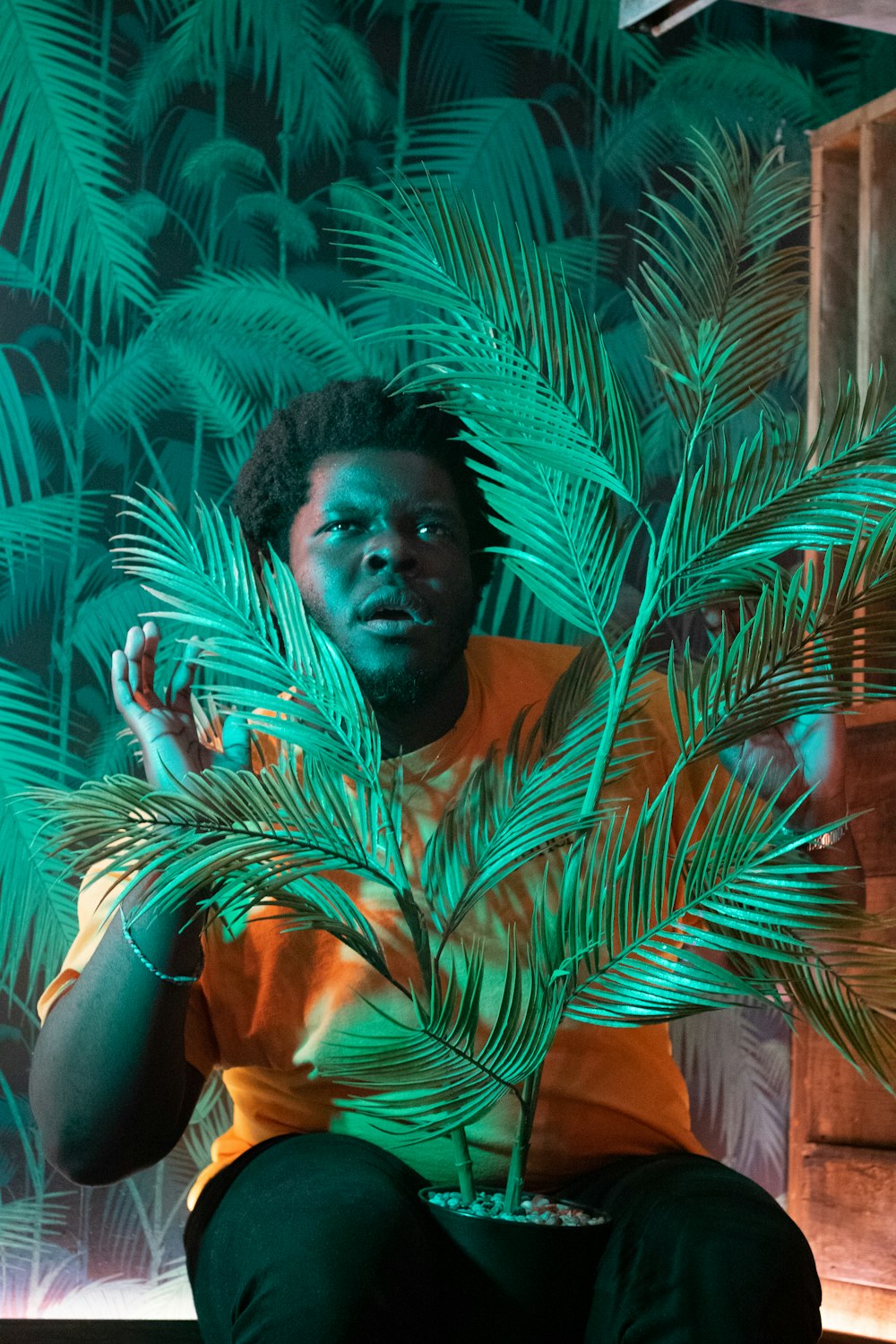 man sitting behind green plant