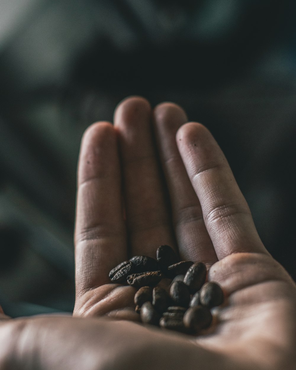 selective focus photography of coffee beans on person's hand