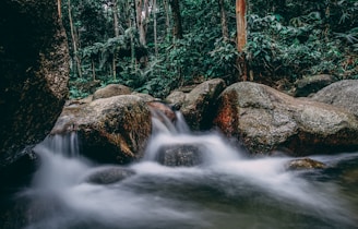 flowing river