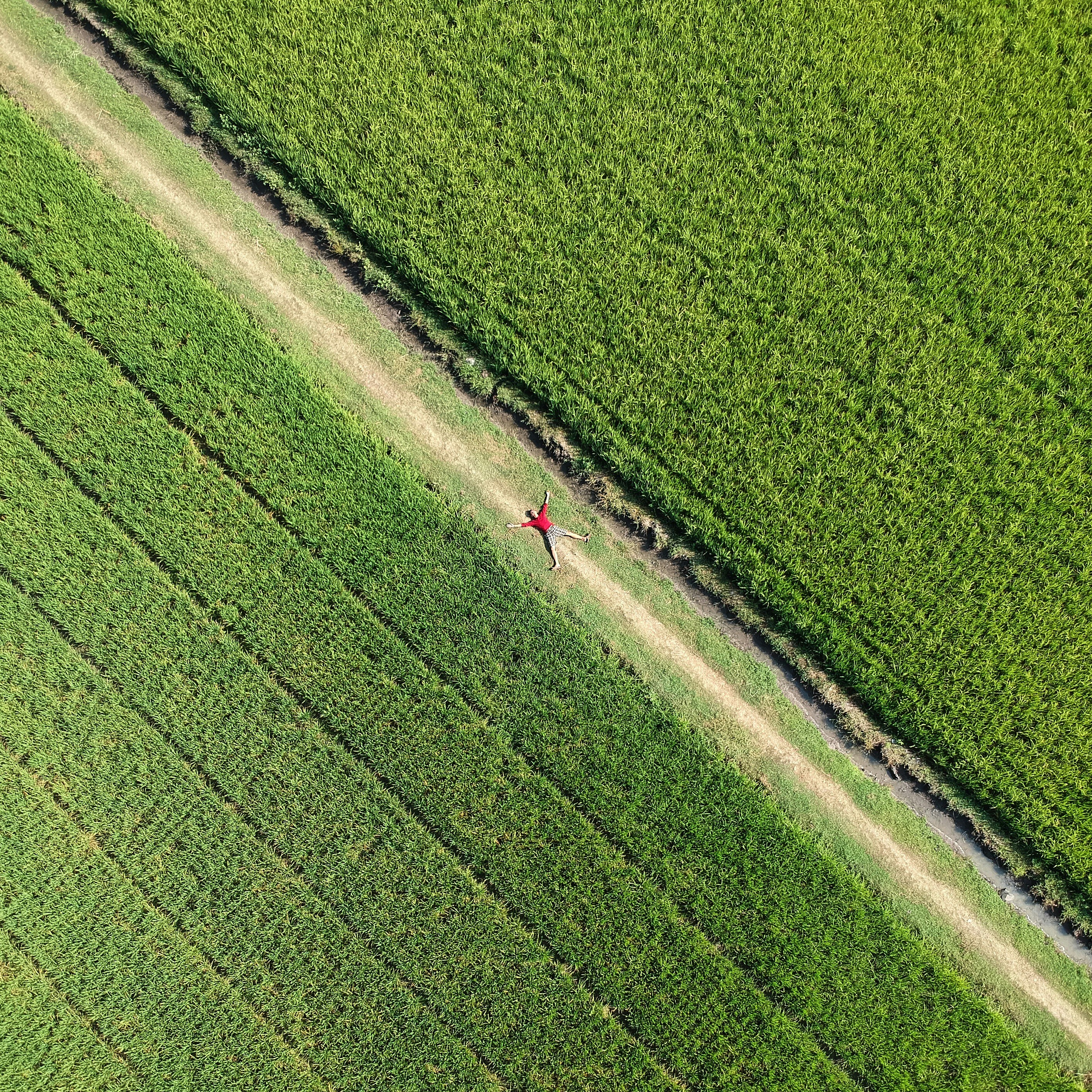 Photo by rewardyfahmi