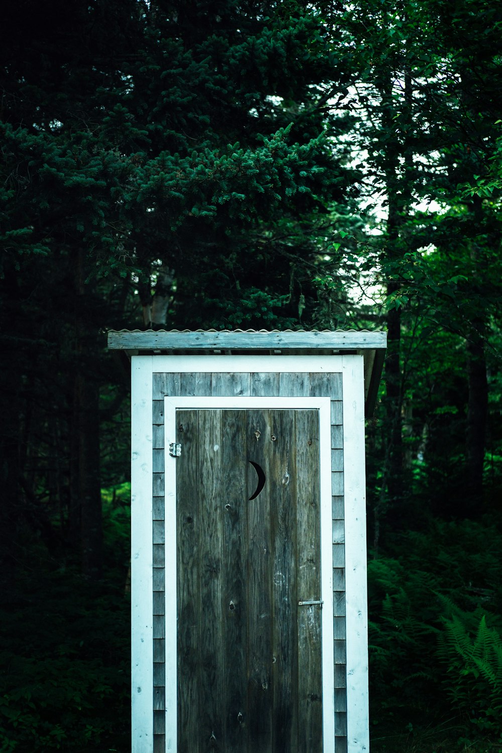 Porte en bois blanc et marron