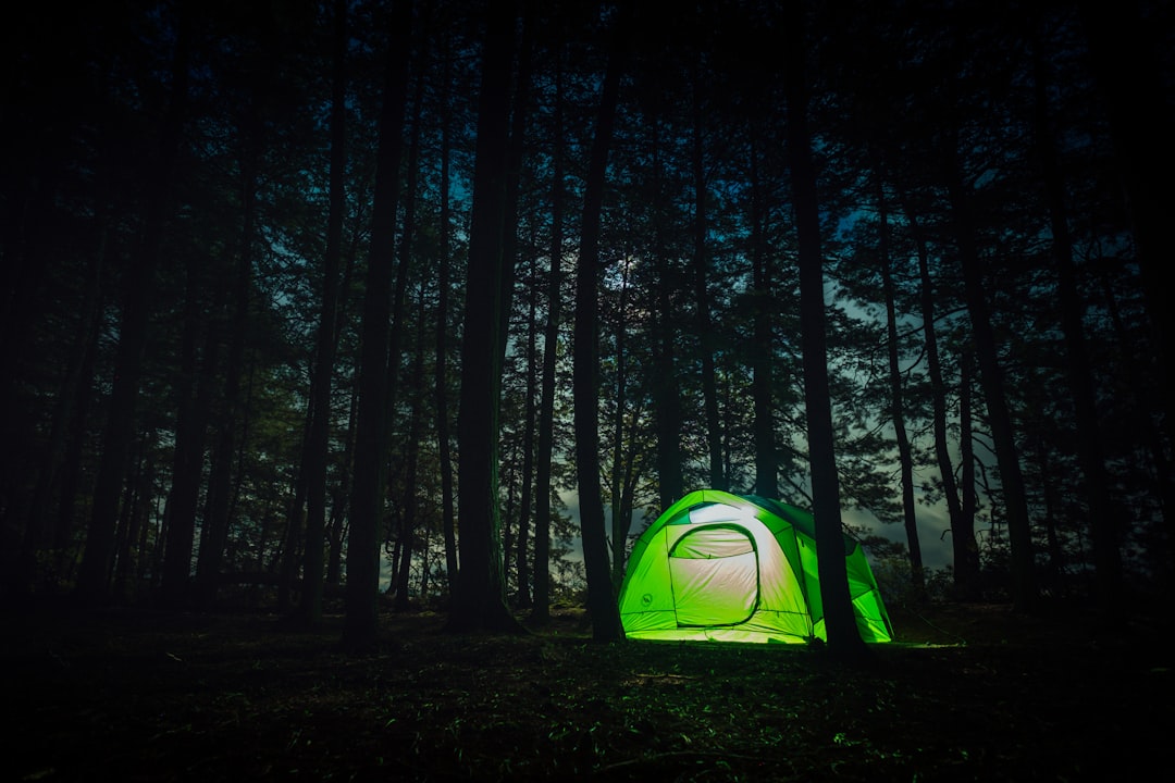 green dome tent at night in forest