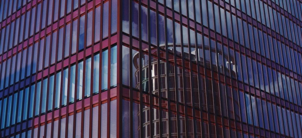 red and blue curtain building