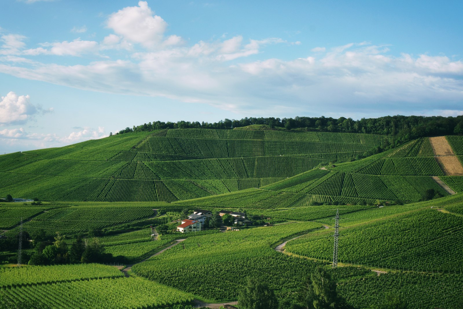 Stuttgart Wine Village