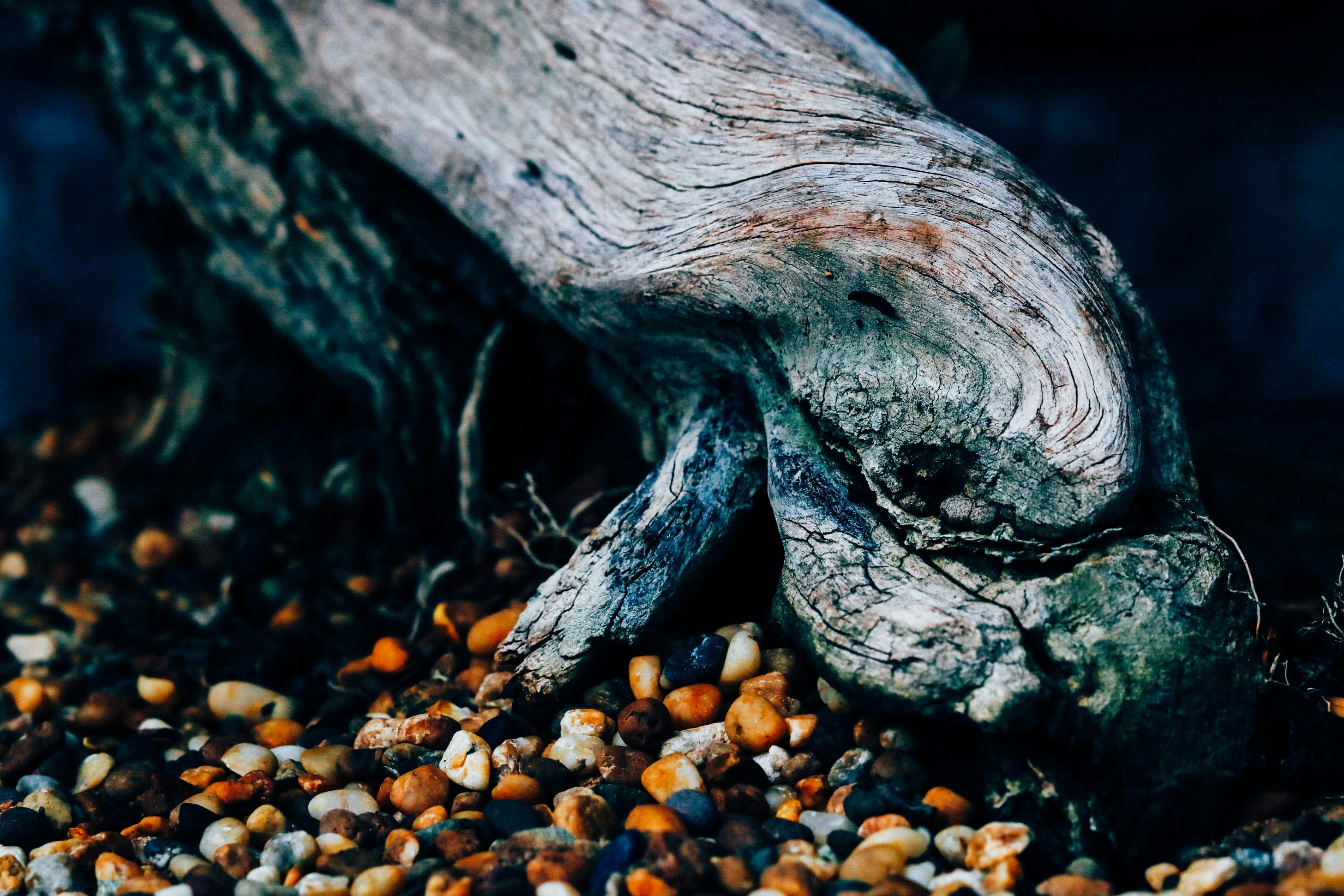 How to Clean Gravel in Aquariums Complete Guide