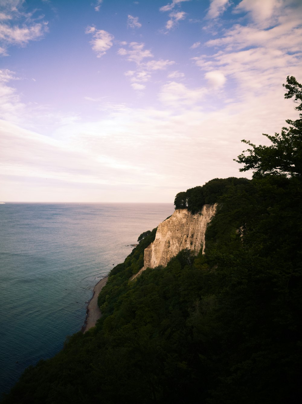 sea cliff during daytime