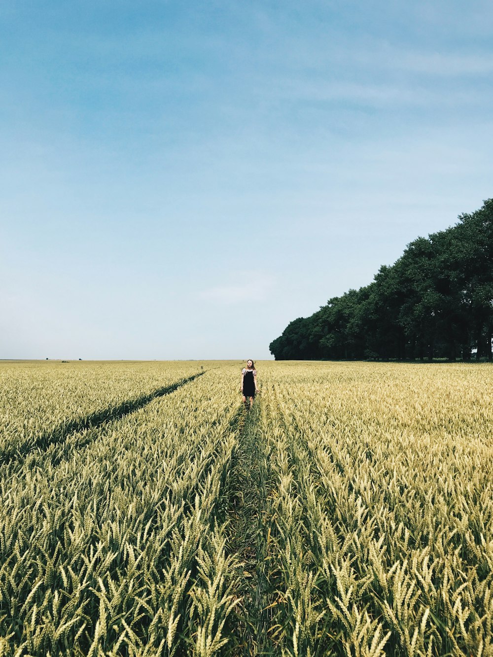 person standing on grass field