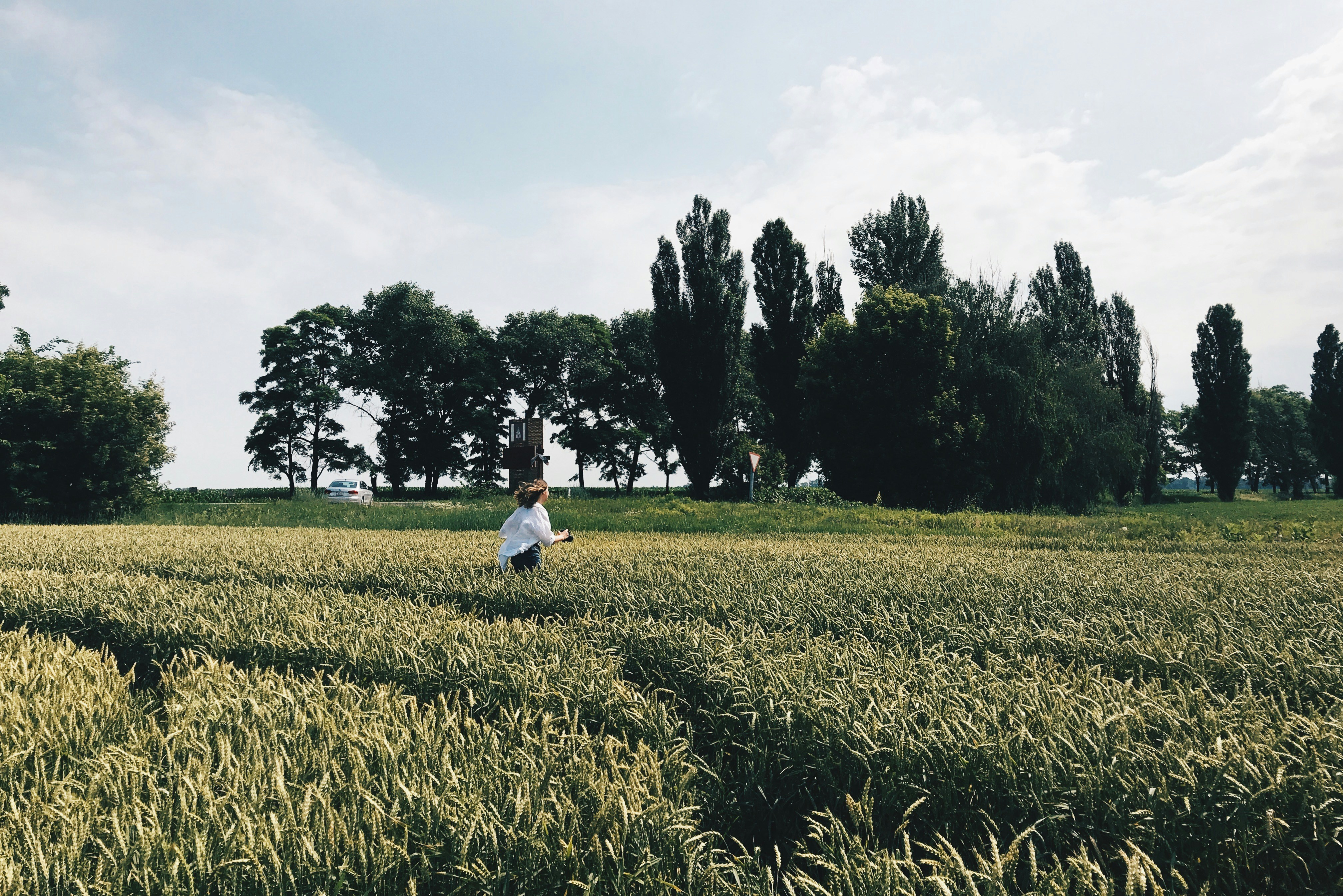 ウクライナの農場