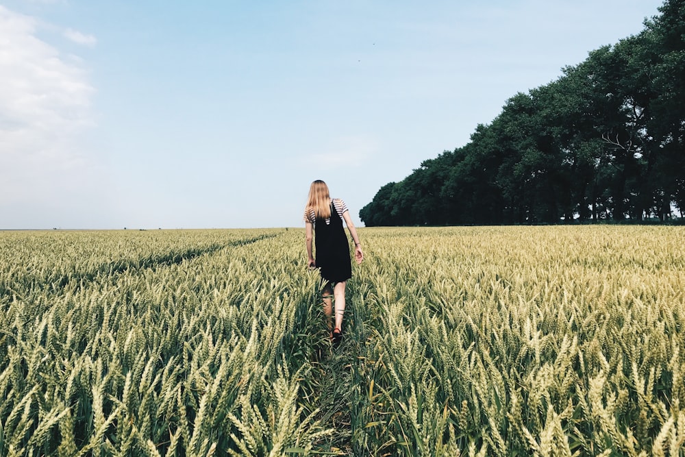 Menina que caminha no campo de trigo durante o dia