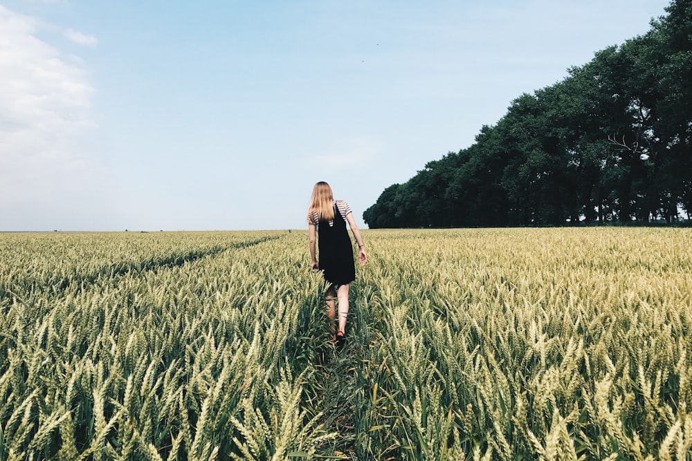 muchacha que camina en el campo de trigo durante el día
