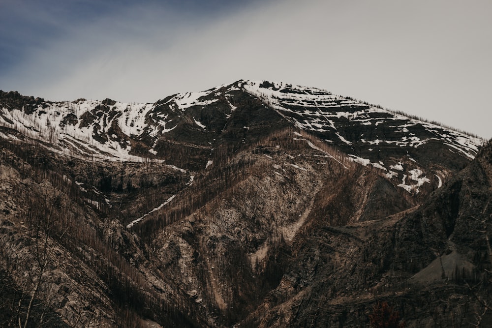 snow covered mountains