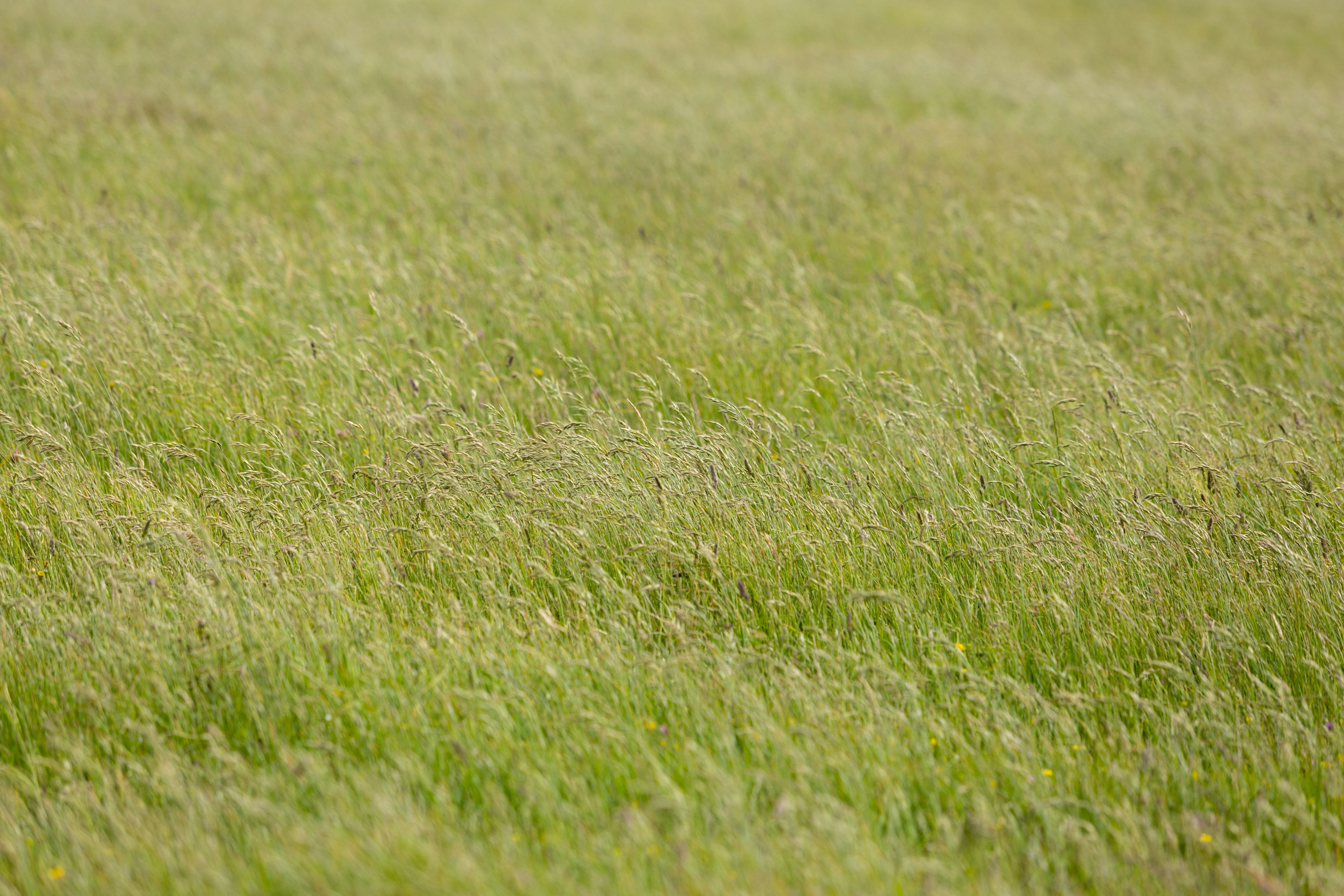 Photo by mikejerskine