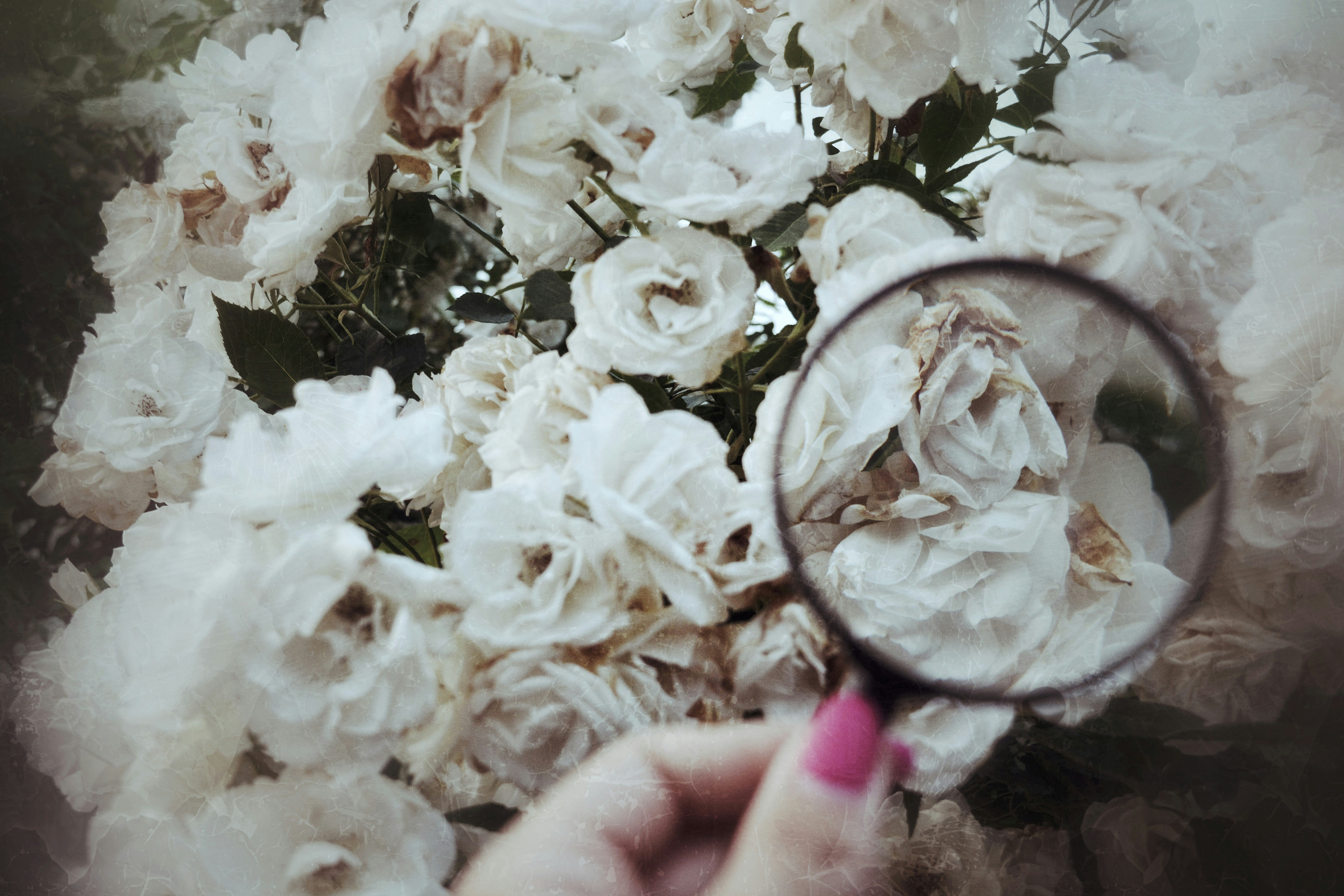 person holding black magnifying glass