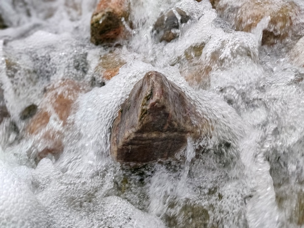 a close up of a rock in a stream of water