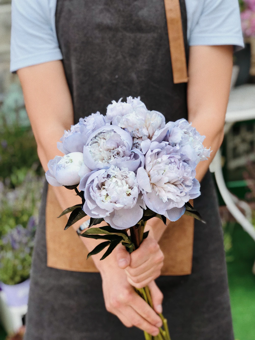 Mud Creek Botanicals