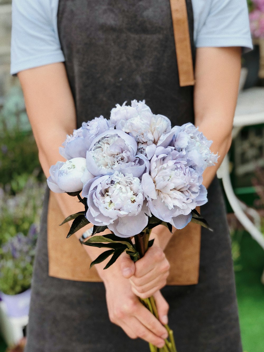 person holding blue flower