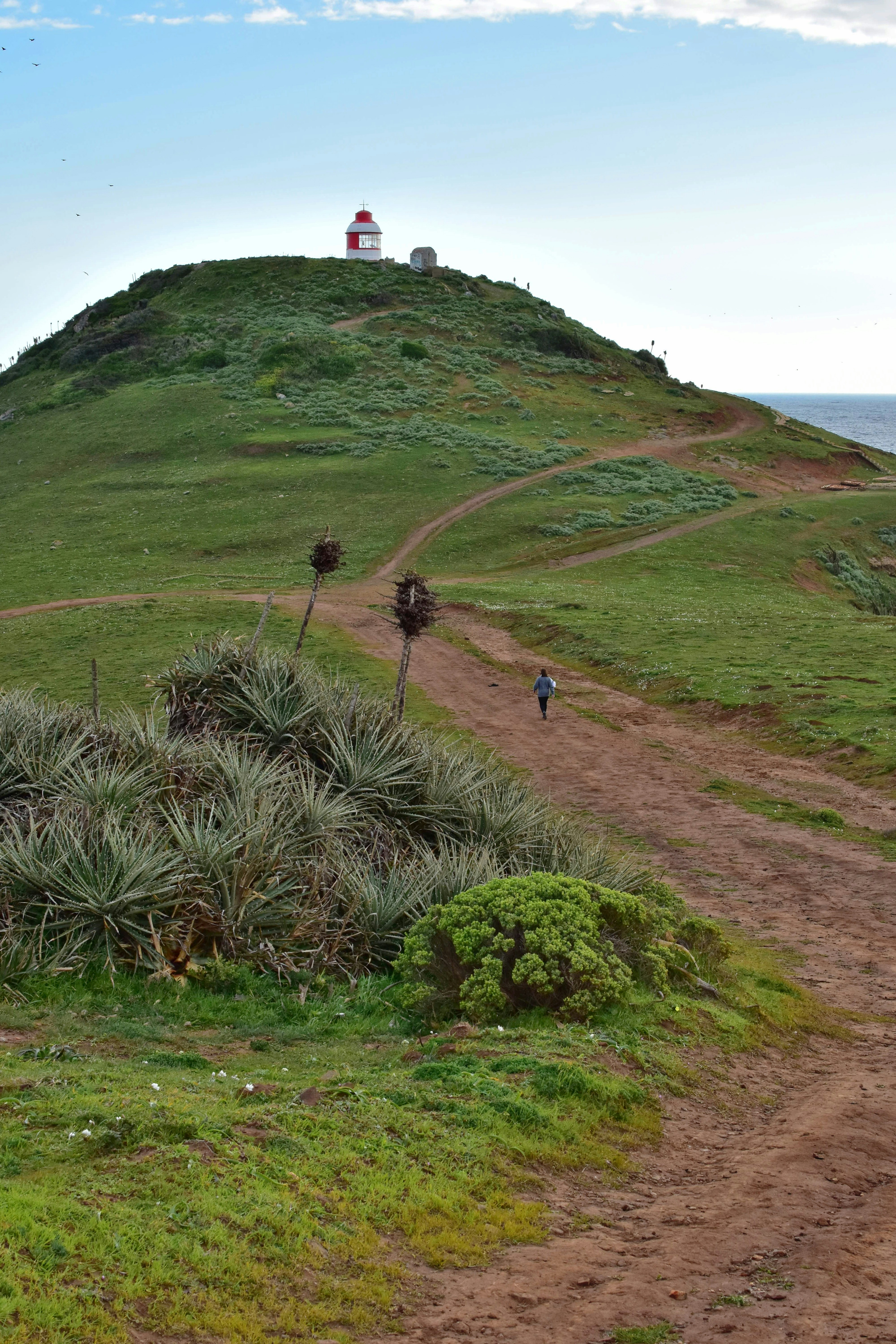 Photo by marcelorivas