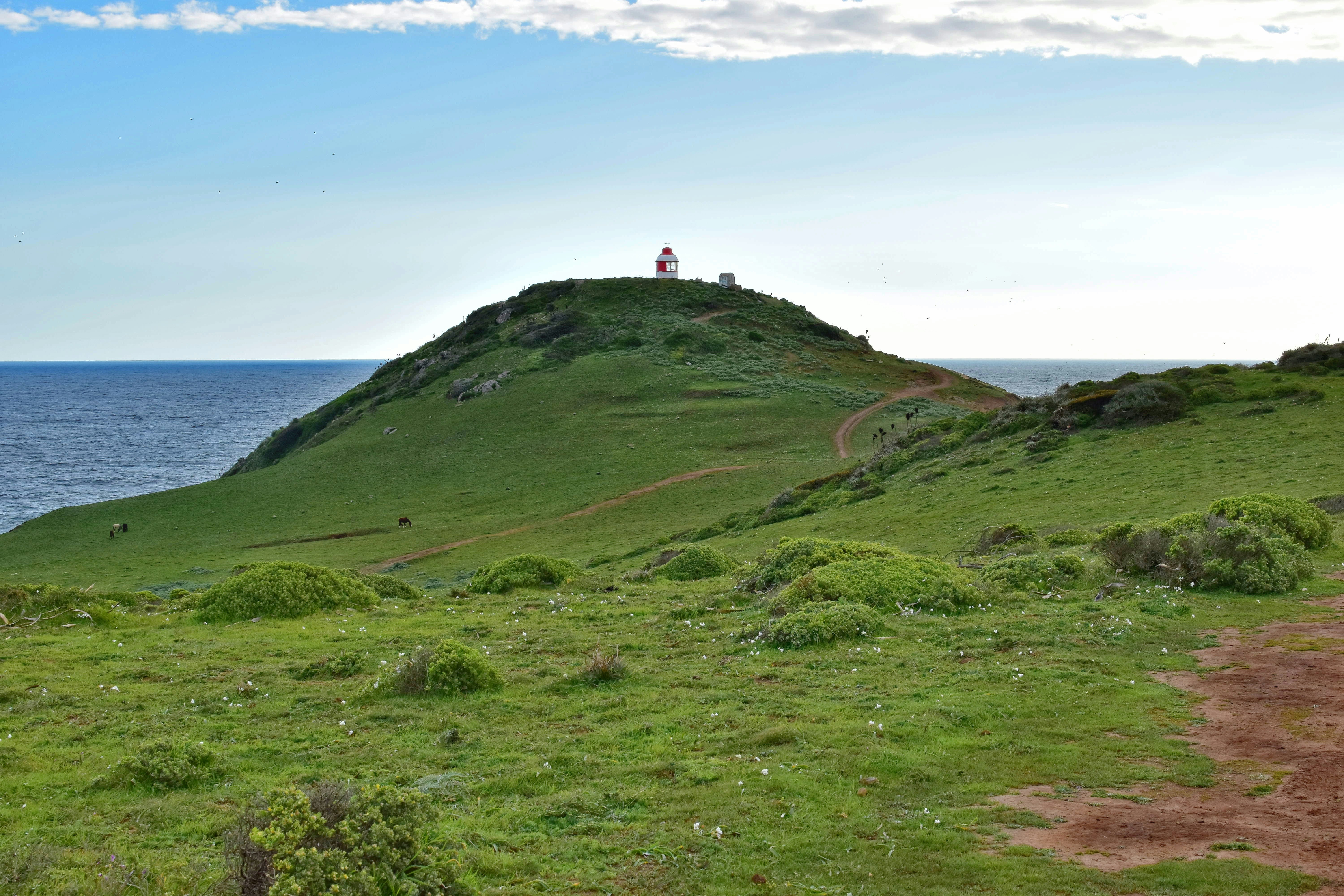 Photo by marcelorivas