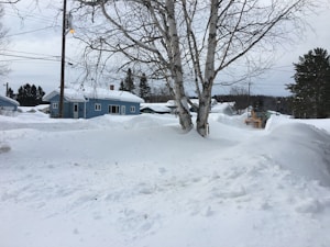 Storm Damage