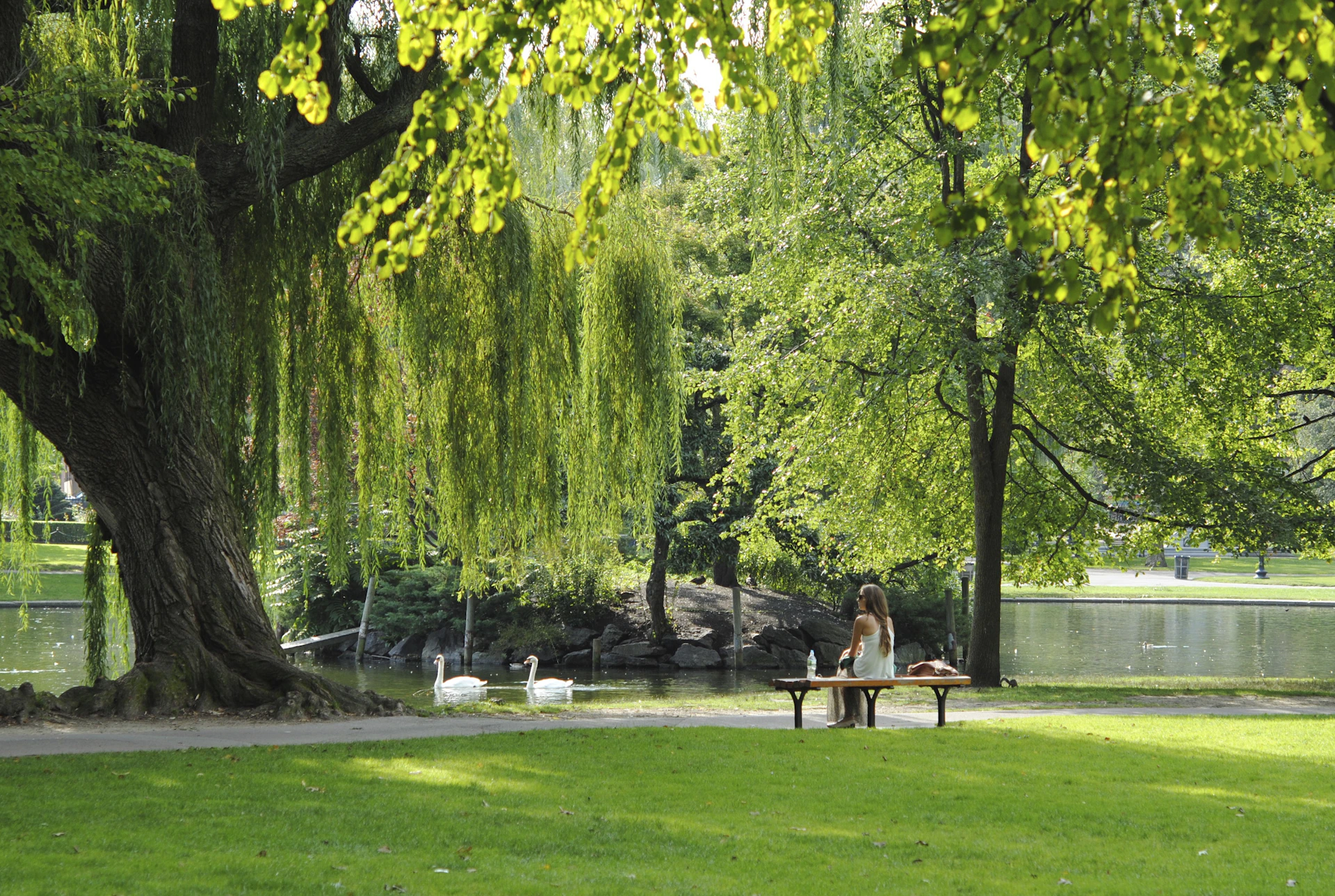 woman sitting on bench