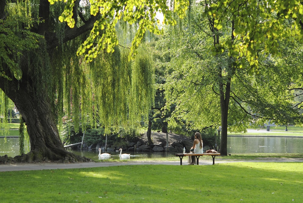 woman sitting on bench