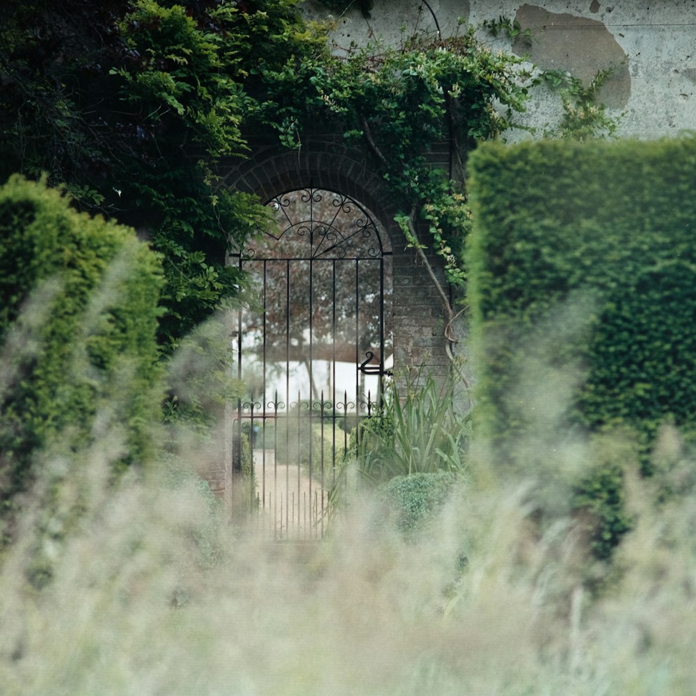 black metal gate