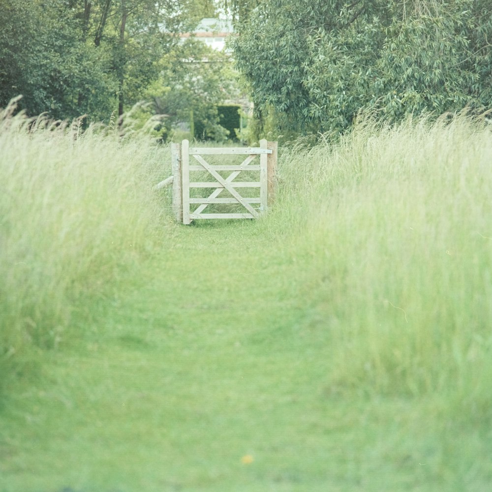 brown wooden fence besides grassland