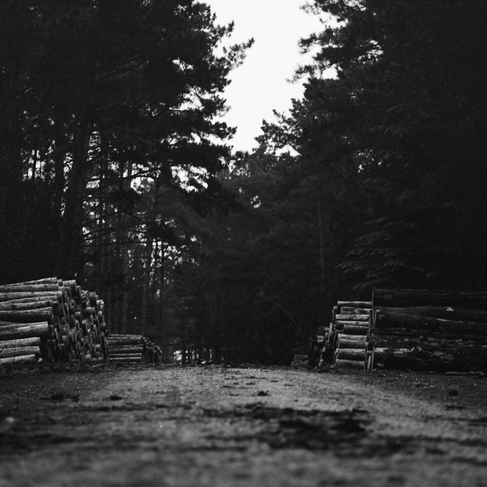 grayscale photo of green trees