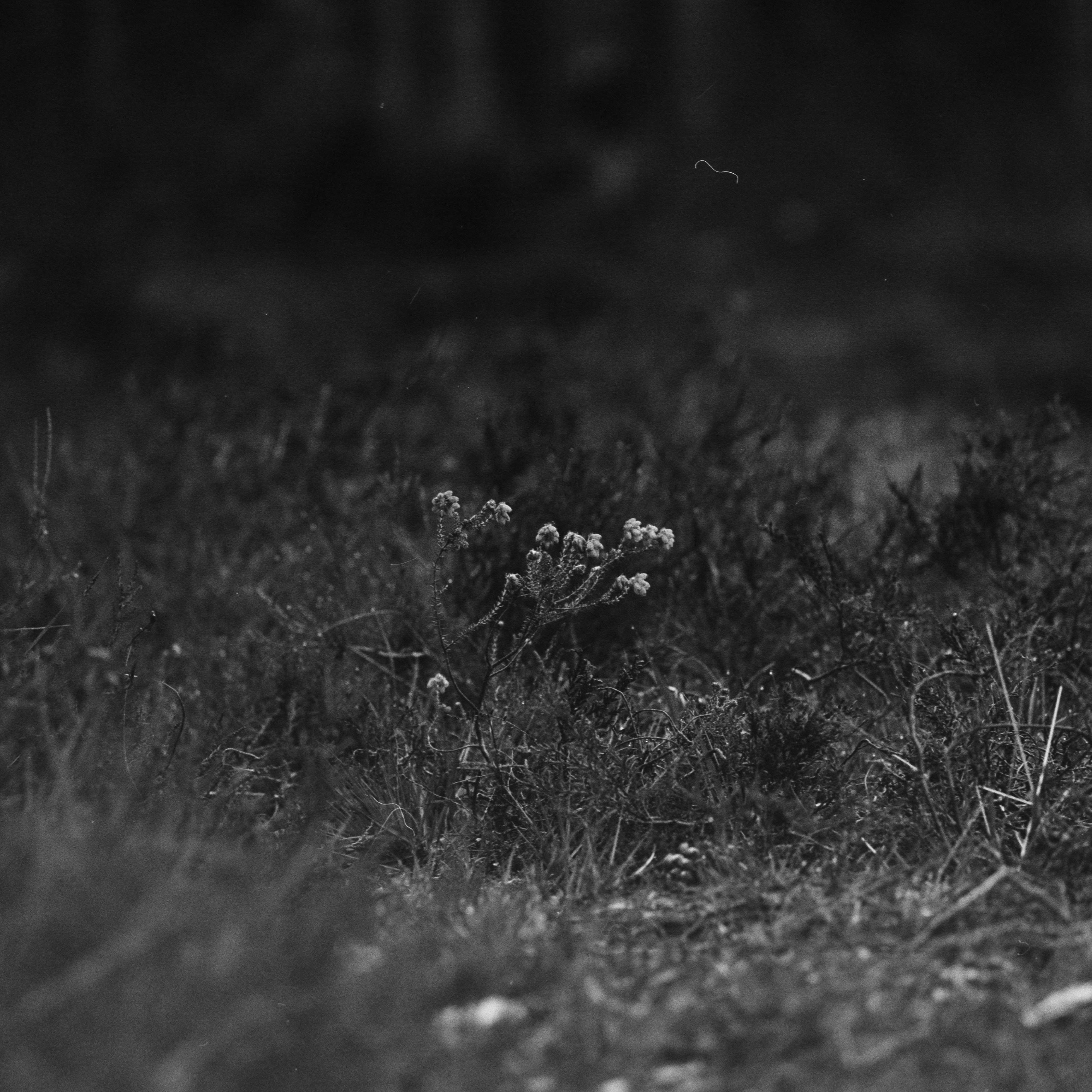 Photo by anniespratt