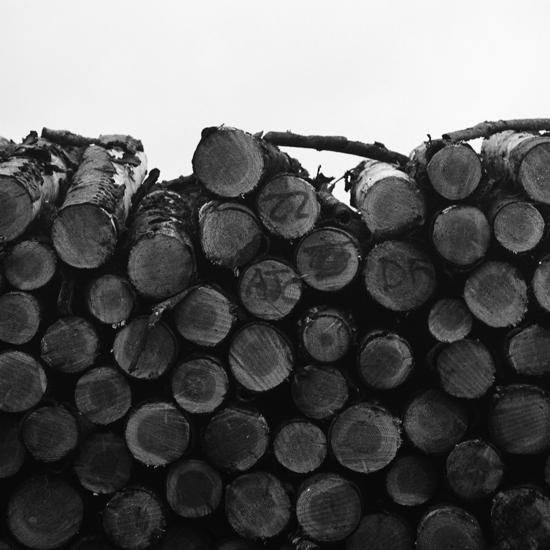 grayscale photography of wooden slabs