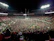 A vibrant photo of a corporate sports day event with employees engaging in team activities under stadium lights.
