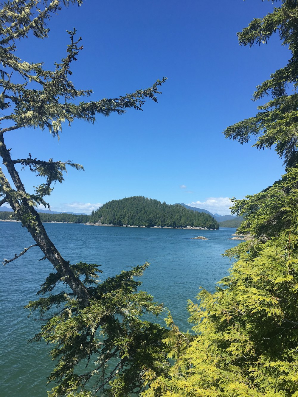 green island with body of water