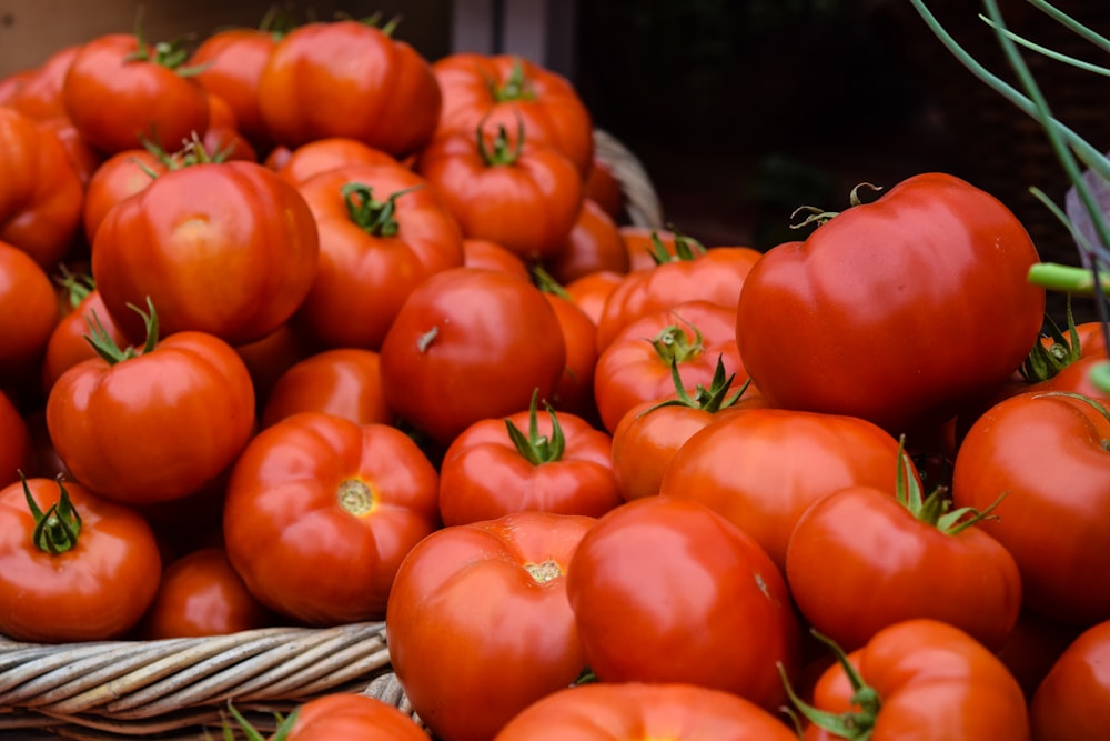 orangefarbene Tomaten