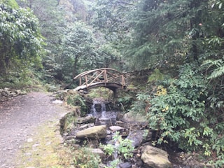 A sturdy wooden bridge arching over a gentle stream surrounded by lush greenery.