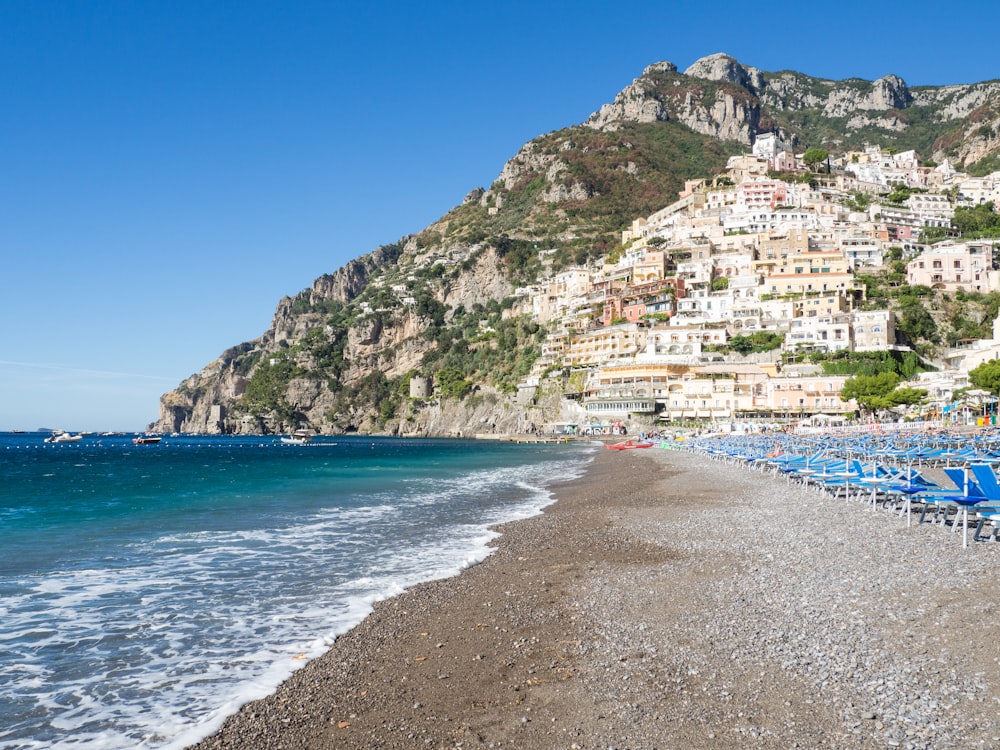 seashore during daytime