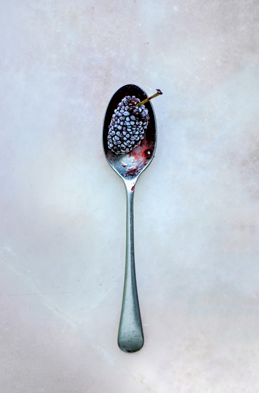 berry on gray stainless steel spoon