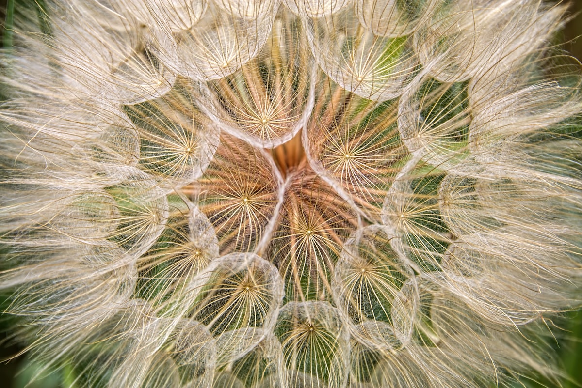 Octahedron