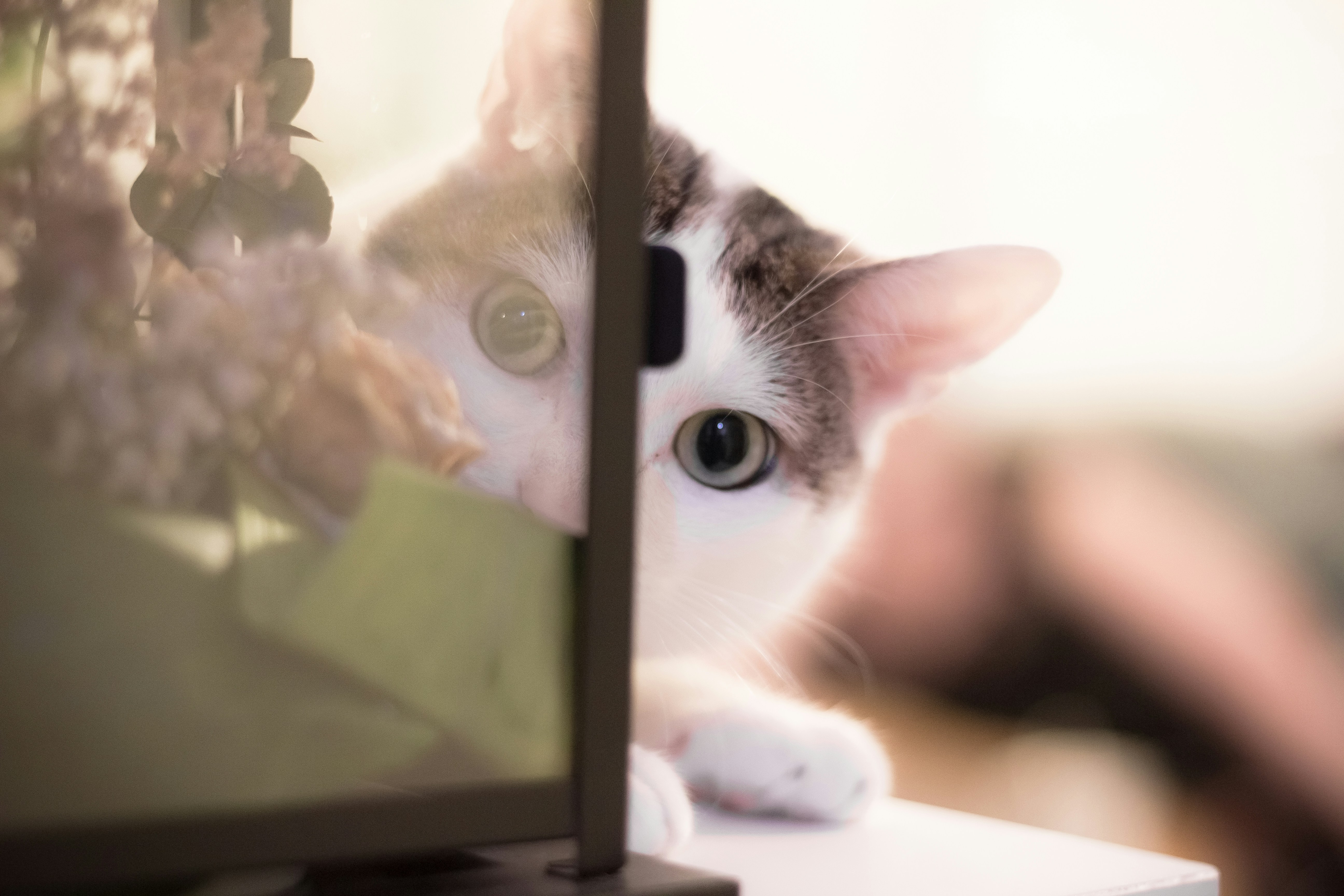 The Rate Cut Nobody’s Ready For—and Why It Changes Everything