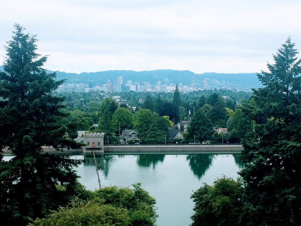 calm body of water during daytime