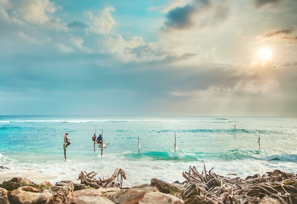 Rekawa beach Sri Lanka